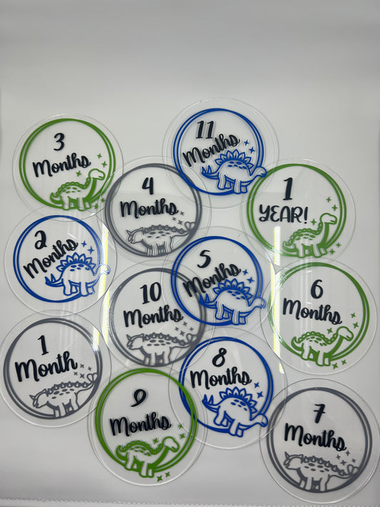 Monthly Photo discs
